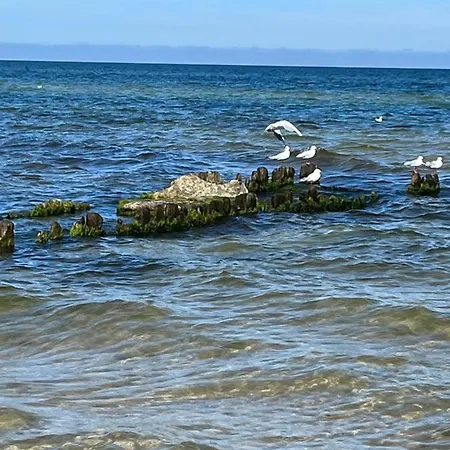 „villa Sophie“ Apartament Grzybowo (West Pomeranian)