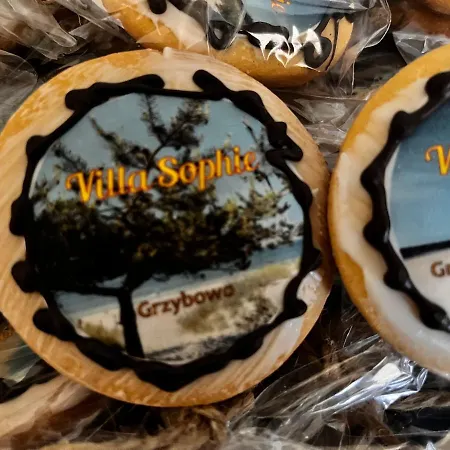 „villa Sophie“ شقة غجيبوفو