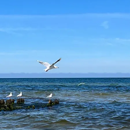 Apartament „villa Sophie“