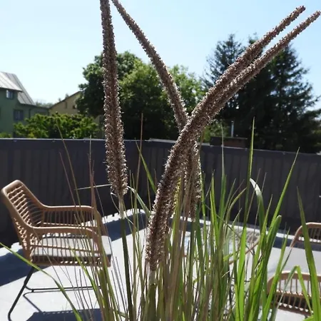 „villa Sophie“ Grzybowo (West Pomeranian)