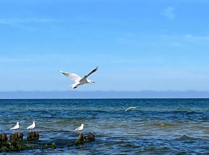 Apartamento „villa Sophie“